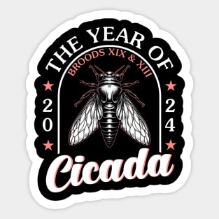 Cicada Sticker